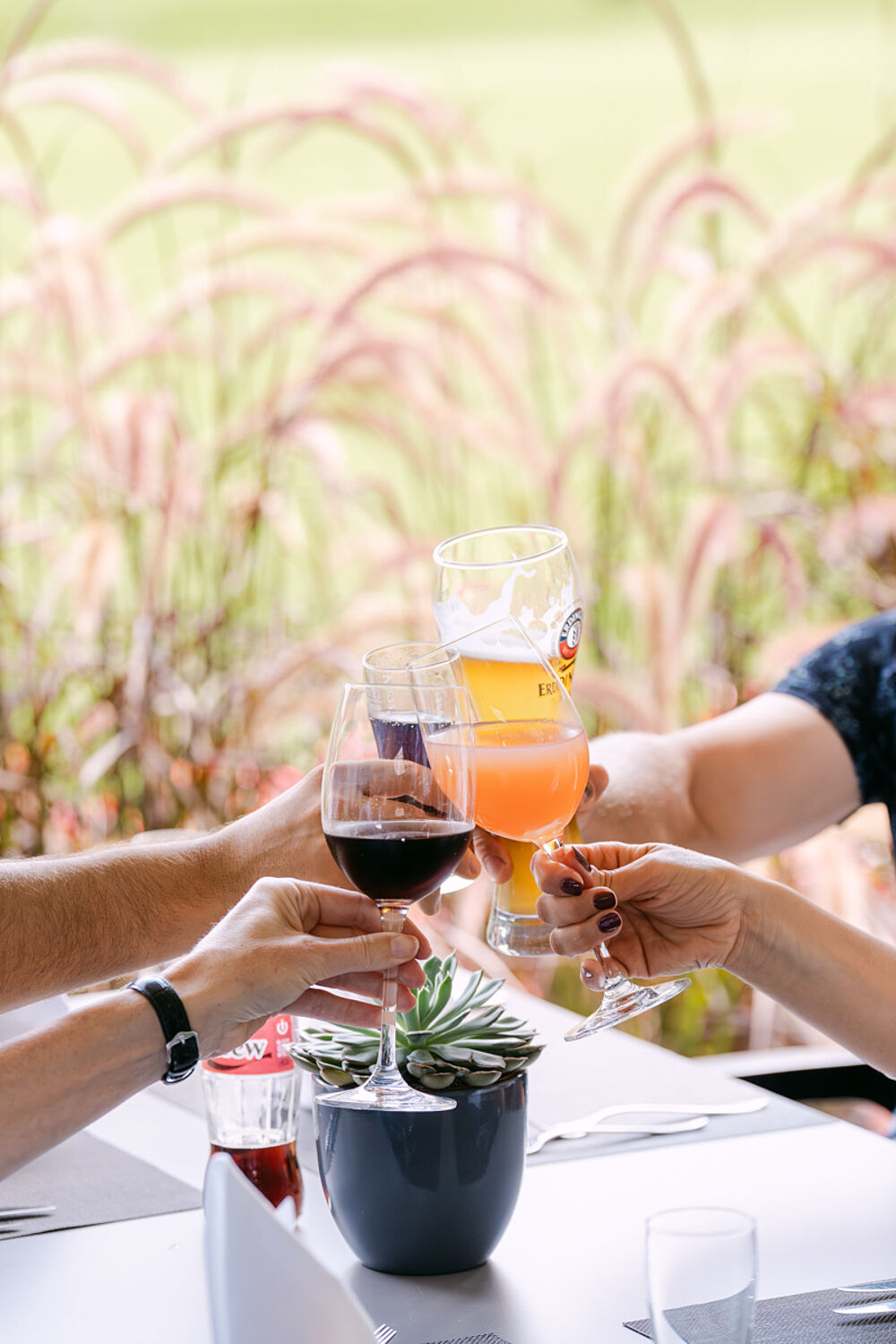 Vier Hände stossen mit Wein- und Biergläsern an einem Tisch im Freien an. Üppiges Gras im Hintergrund sorgt für eine fröhliche, festliche Stimmung. Eine kleine Pflanze schmückt den Tisch.