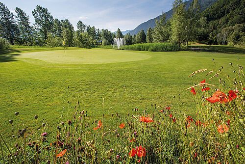 Leuchtend rote Blumen im Vordergrund umgeben ein Green, umgeben von grünem Gras und Bäumen. Ein entfernter Berg und ein klarer Himmel unterstreichen die heitere Atmosphäre.